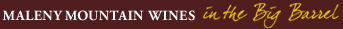 MMW Logo